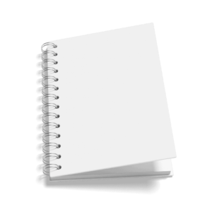 Agenda Escolar Padrão